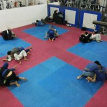 Imagem 3 da galeria do parceiro Armazém Fitness