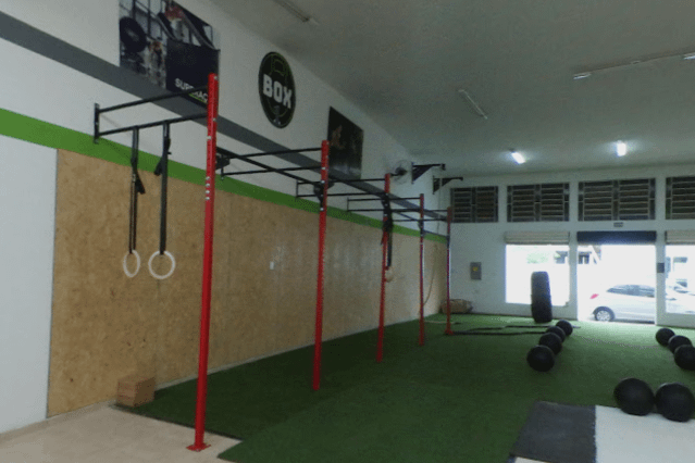 Box Araras 1