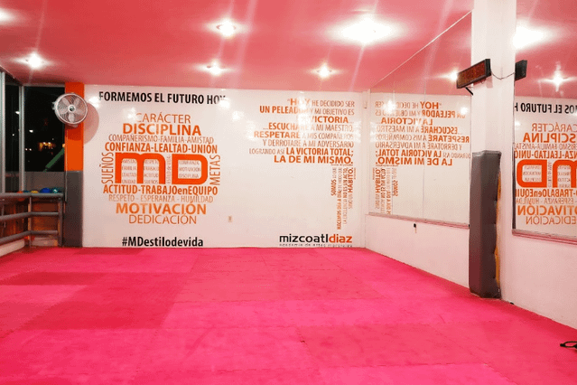 Academia De Artes Marciales Mizcoatl Diaz