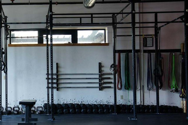 Undisputed Fitness