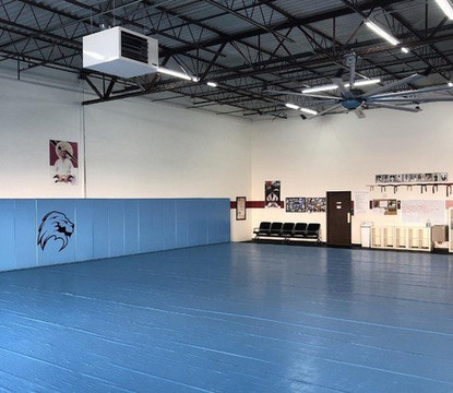 Image 1 from Gracie Cincinnati partner gallery