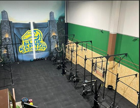 Imagen 1 de la galería del partner Crossfit Blue Raptor