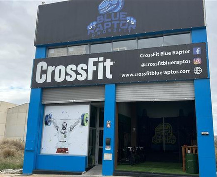 Imagen 2 de la galería del partner Crossfit Blue Raptor