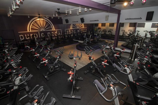 Image 1 from Purple Pedal partner gallery