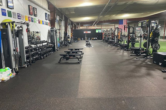 Image 2 from ProFORCE Sports Performance - Milford partner gallery