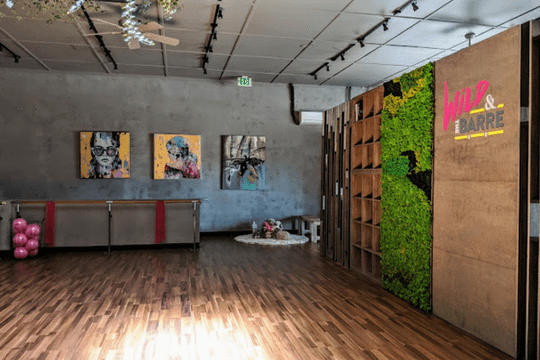 Image 3 from Wild & The Barre partner gallery