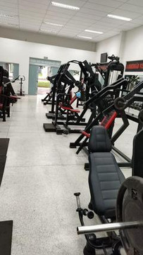 Imagem 1 da galeria do parceiro Gorilla Squad