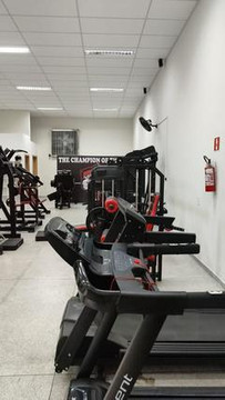 Imagem 3 da galeria do parceiro Gorilla Squad