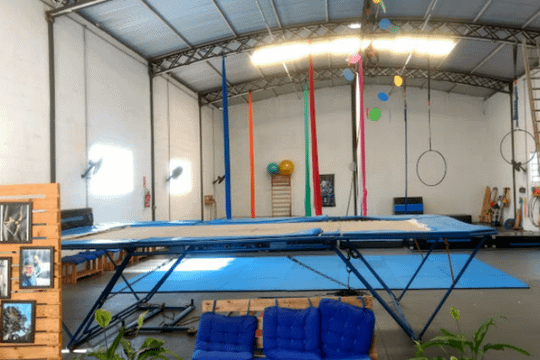 Imagem 1 da galeria do parceiro Eleve - Circo e Arte