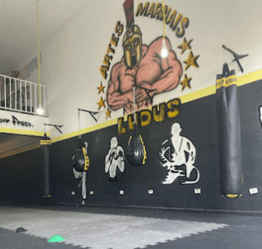 Imagem 1 da galeria do parceiro Ludus Artes Marciais