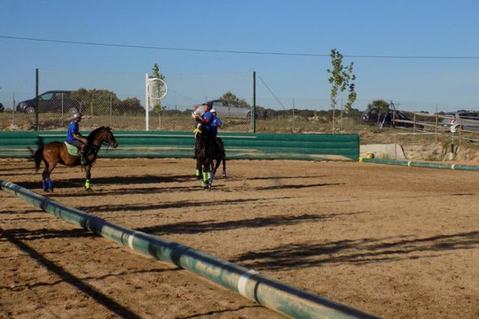 Imagen 1 de la galería del partner Club hípico Tramontana