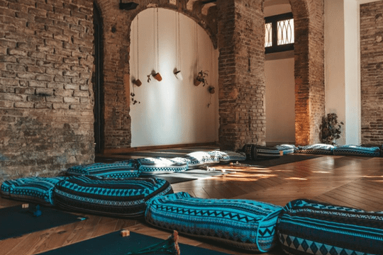 Imagen 3 de la galería del partner Shanti Vida