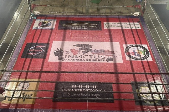 Imagen 3 de la galería del partner Academia de Box Invictus