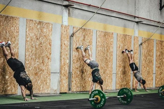 Imagen 1 de la galería del partner Box El Rancho