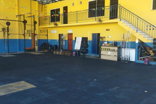 Imagem 1 da galeria do parceiro CT Canídeos