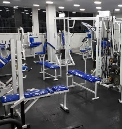 Mega Gym Akademia