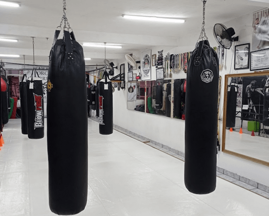 Academia de Lutas Força Guerreira