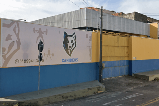 Imagem 2 da galeria do parceiro CT Canídeos