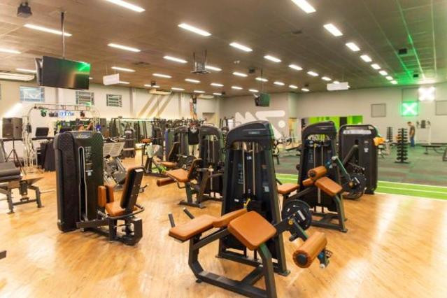 Motion Fit Belas Artes