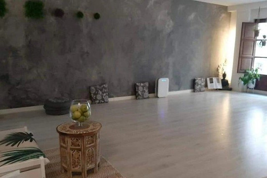 Imagen 1 de la galería del partner ShivaYOGAshala Zamora