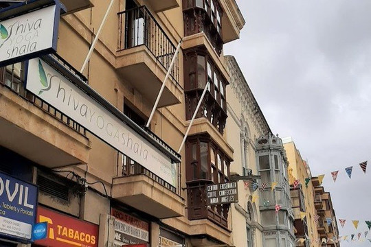 Imagen 2 de la galería del partner ShivaYOGAshala Zamora