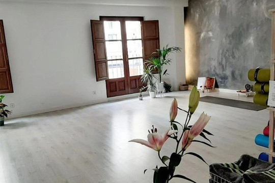 Imagen 3 de la galería del partner ShivaYOGAshala Zamora