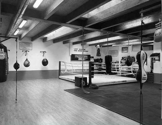 Fortitudo Boxe