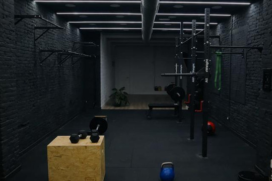 Imagen 1 de la galería del partner Studio Calisthenics