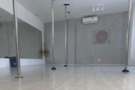 Imagem 1 da galeria do parceiro Abayomi Pole Studio