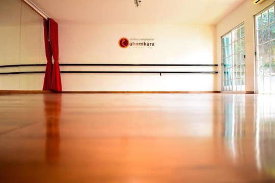 Imagen 1 de la galería del partner Centro de Expresión Ahamkara