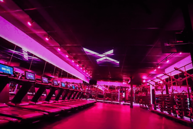 Flex Fitness MN