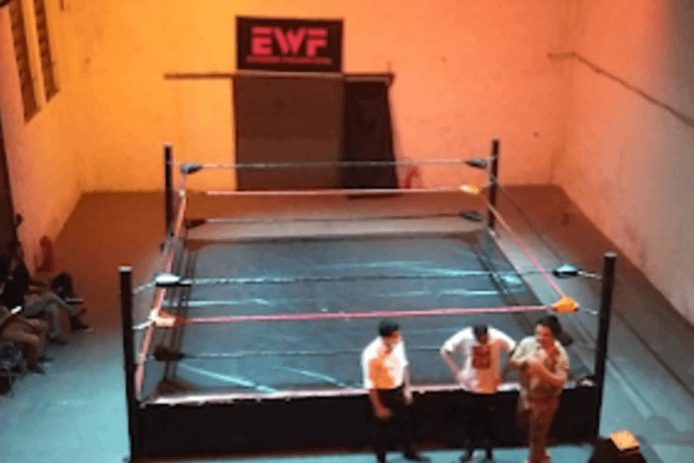EWF Luta Livre