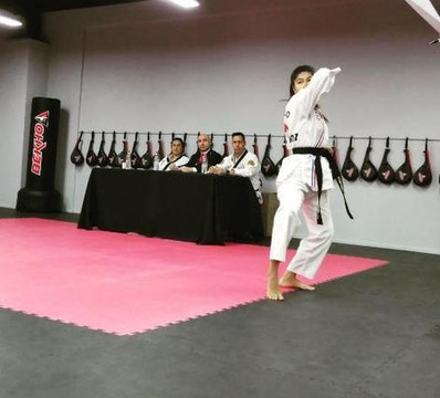 Imagen 1 de la galería del partner ATA BEKHO VIÑA