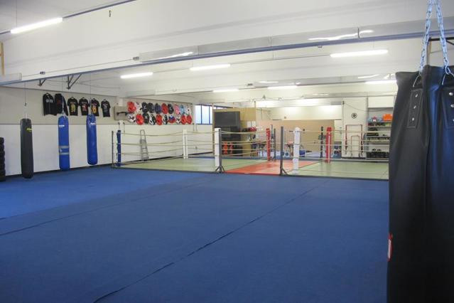 Team Koi-Gym