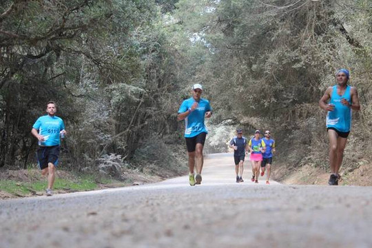 Imagem 2 da galeria do parceiro Equipiazza Assessoria Esportiva - Jd. Botânico