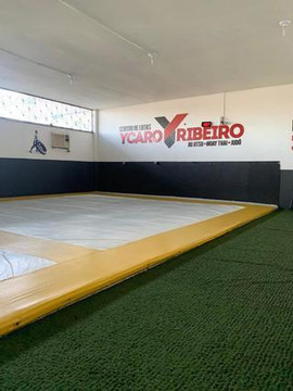 Imagem 1 da galeria do parceiro Centro de lutas Ycaro Ribeiro