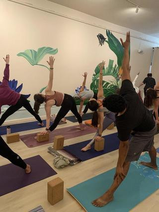 Lotusland Yoga SF