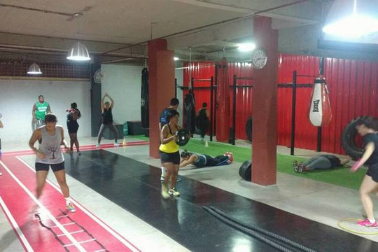 Imagem 1 da galeria do parceiro Academia Animal King - Tomás Coelho