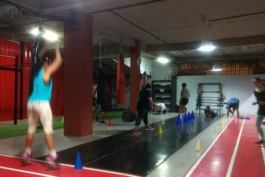 Imagem 3 da galeria do parceiro Academia Animal King - Tomás Coelho