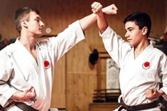 Image 3 from ESKA - Framingham Earl Sports Centre Karate partner gallery