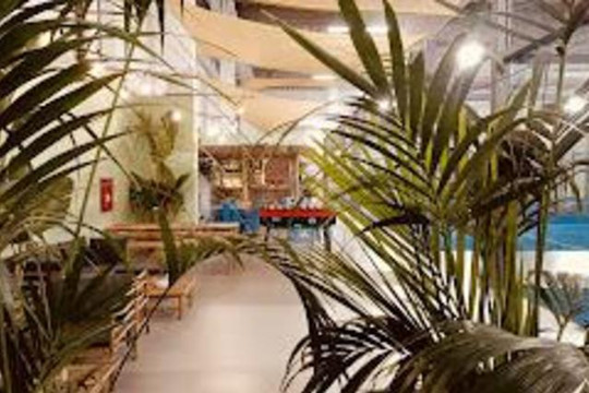 Immagine 2 dalla galleria del partner Aloha Padel Club