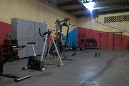 Imagem 2 da galeria do parceiro Dragão Dourado – Espaço Livre de Artes Orientais