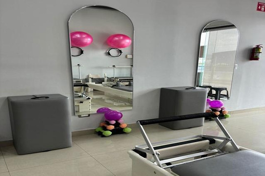 Imagen 1 de la galería del partner Harmony Pilates Reformer Encomienda