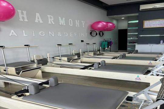 Imagen 3 de la galería del partner Harmony Pilates Reformer Encomienda