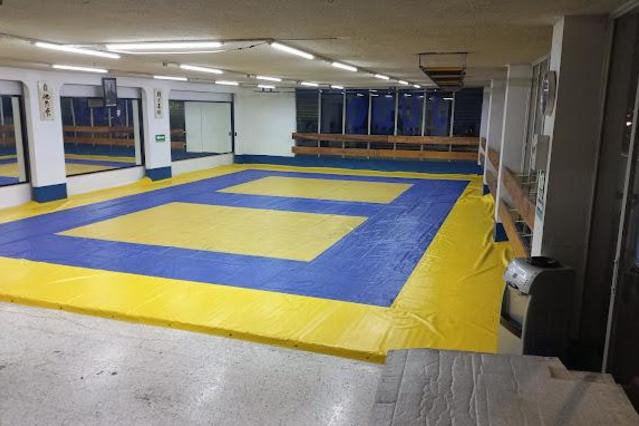 Tecno Judo & Jiu Jitsu Fernández, A. C.