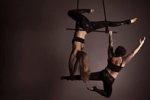 Aerial Dragonfly Movement Studio