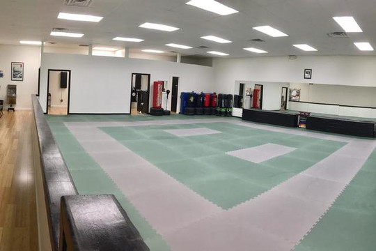 Image 1 from New Visions Dojo partner gallery