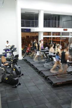 Imagem 1 da galeria do parceiro New Fit