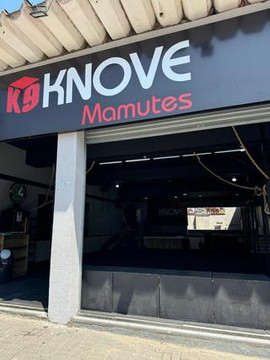 Imagem 1 da galeria do parceiro Knove Mamutes