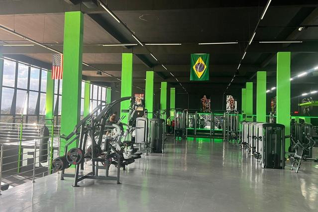 Holiday Gyn Academia